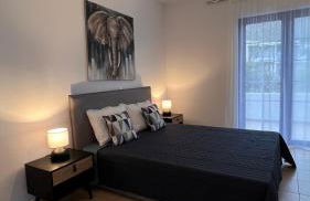 Elefanti Nani - Foto 32