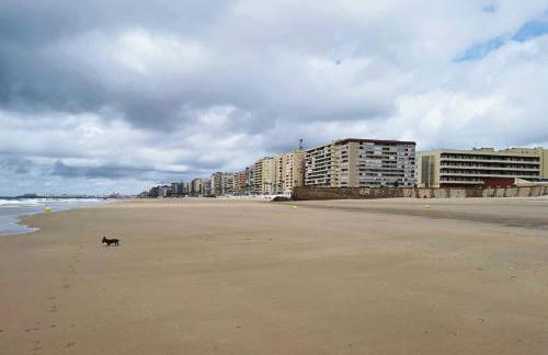 Romántica vista al paseo marítimo de Cádiz - Photo 33