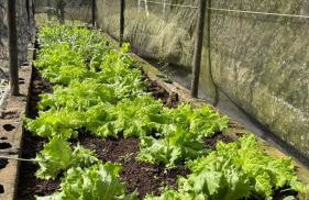 Sitio em Araçoiaba, com Lazer completo! - Foto 12