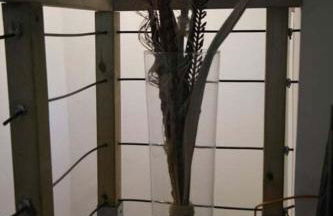 Bel F2 Nogent Gare sur place - Foto 13