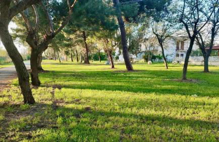 Una pineta sul mare - Riviera dei tramonti - Spiaggia a 300 m - Foto 15