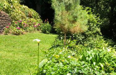 Quintinha de Palmyra - Foto 29