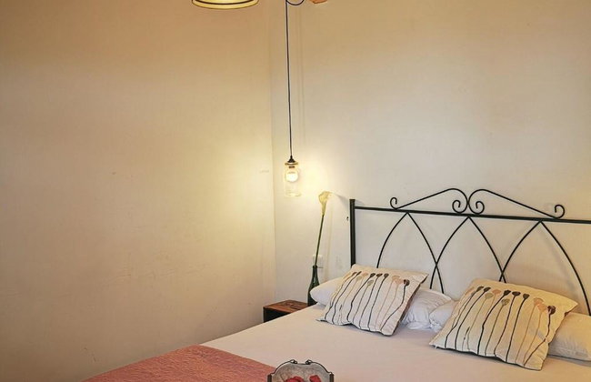 Huerto San Antonio - Foto 35