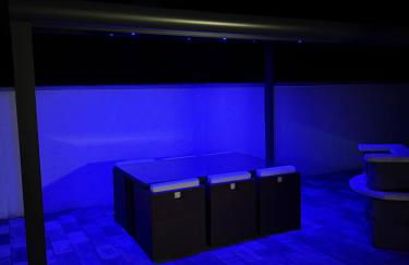 Frankfurter 21 Haus - 2 WE, 2 Küchen, 2 Bäder, 6 SZ, 19 Betten - Foto 39