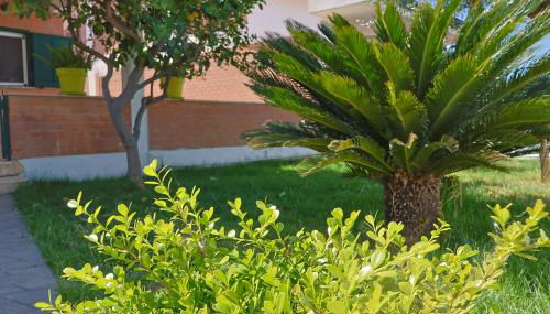 Villa Lella - Tevere - Foto 5, Garden, Garden view