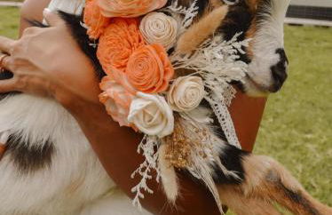 Meadow View Romantic Nature Stay w Barn, Outdoor Tub and Sauna - Foto 24