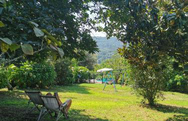 Casa do Sapateiro - piscina - Photo 13
