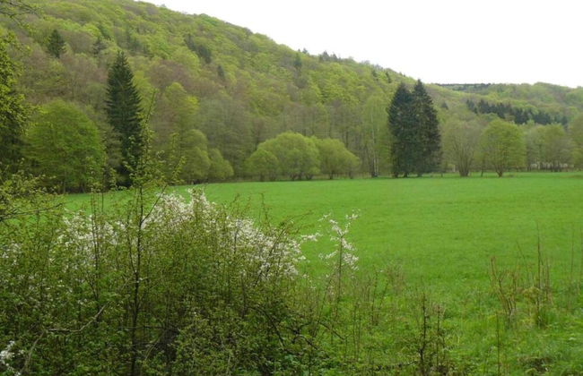 Hill-view Holiday Home in Dankerode Near Lake and Hiking - Foto 75