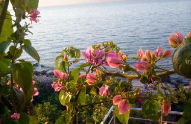 Apartments KraljicaMira - Photo 42