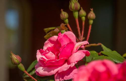 Villa Nycou - Foto 8