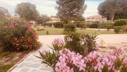 T4 neuf Porto Vecchio Calarossa - Foto 3, Garden