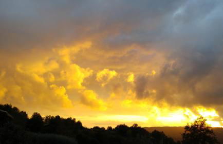 Podere Sant'Angelo - Foto 13