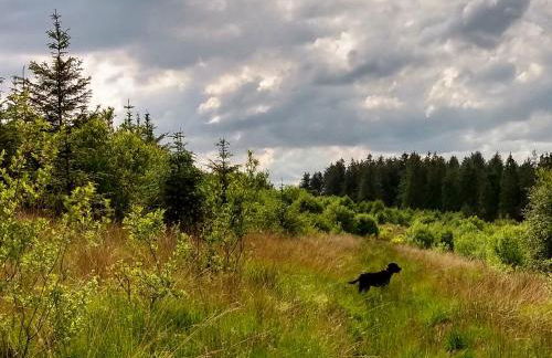 The Nook Cottage In The Heart Of Northumberland - Foto 26