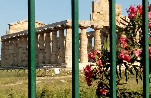 Annina Home - Foto 14