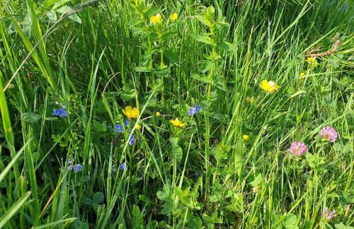 Komfortowy dom z bali koło Zieleńca z widokiem na góry - Foto 32