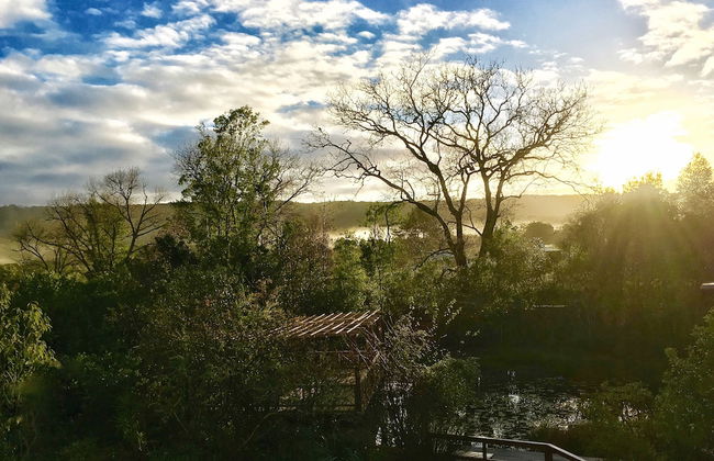 Forest Edge - Foto 61