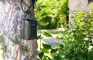 Casa Ar da Beira - Serra da Estrela - Belmonte - Foto 43