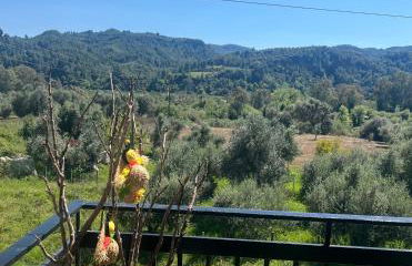 Olympia House Dionisos and Dimitra III - Foto 19