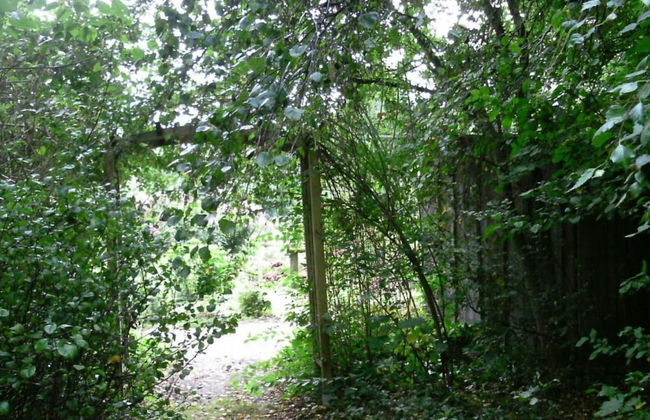 Heathside Family Retreat - Foto 20