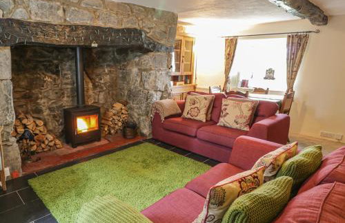 Plas Arenig - Foto 3