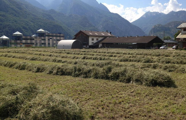 Agriturismo La Grange - Foto 49