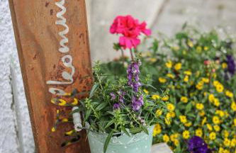 Brunnlochnerhof - Foto 28