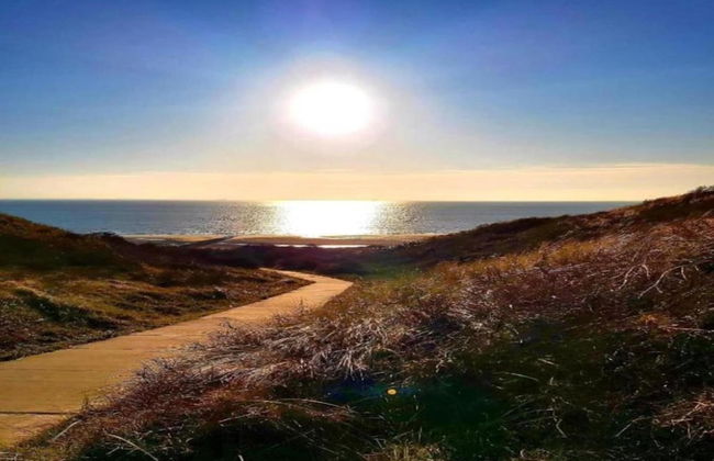 Villa in Dishoek Near Noordzee Beach - Foto 41