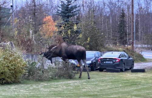 Tiny Home at Bear Mountain -Only 25 Min from Anchorage, Great Central location-Cute & Comfortable - Foto 33