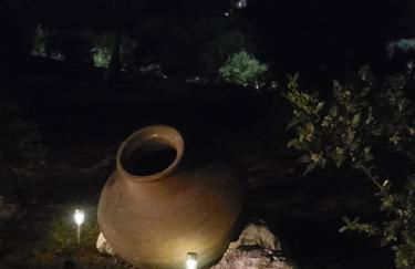 Alexia's resorts - Photo 47