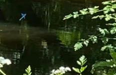 Spout House Studio - Photo 32