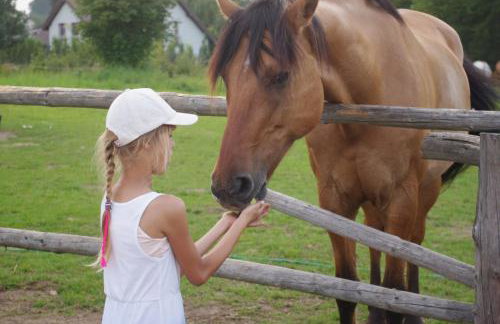 Stilove Wydmy - Foto 24