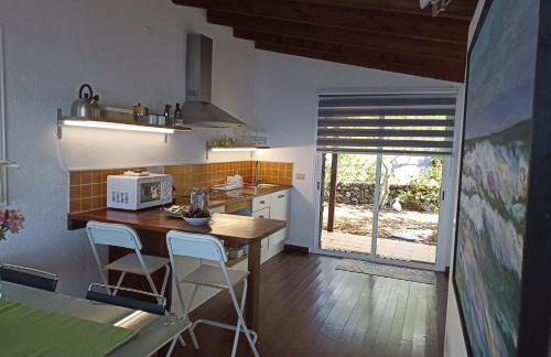 Dos Violetas - Foto 11