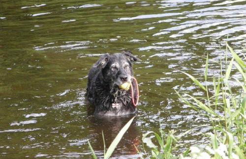 Doonbank Cottage Bothy - Foto 27