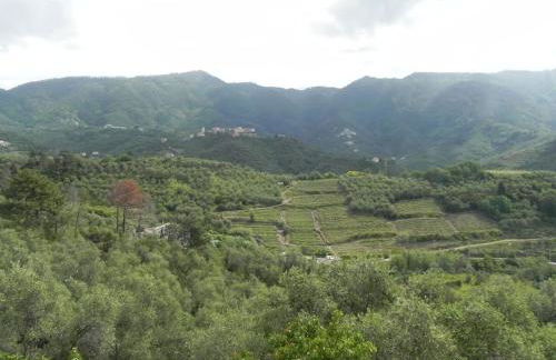 azienda agricola zulin casa elena - Foto 61