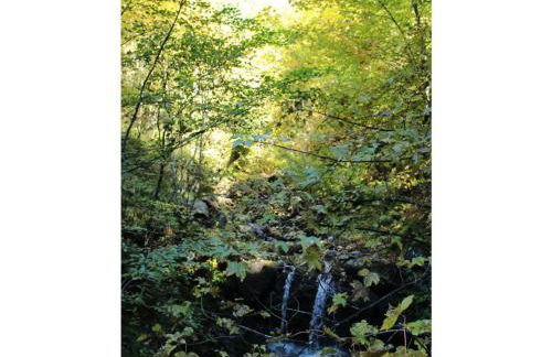 Holiday Apartment Rosi Denz - Foto 33