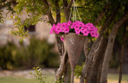 Podere Limeria Country Home nelle Marche - Foto 37