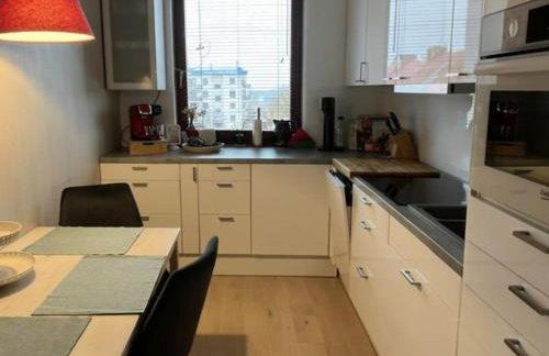 Miedziane ZALESIE - Noclegi Lubin - Foto 8