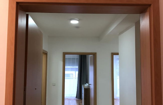 Sahara Falcon - Foto 62