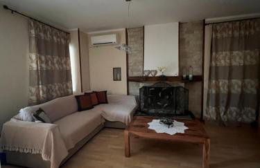 Lemon Tree - Photo 14