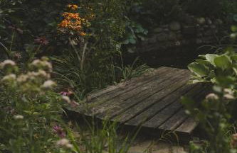 Przystanek Zielnik - Foto 9