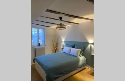 Charmant T3 cœur de ville avec parking option repas - Foto 15