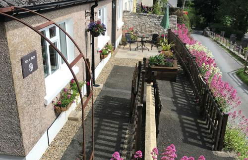 Tanyfron Llangrannog - Photo 18