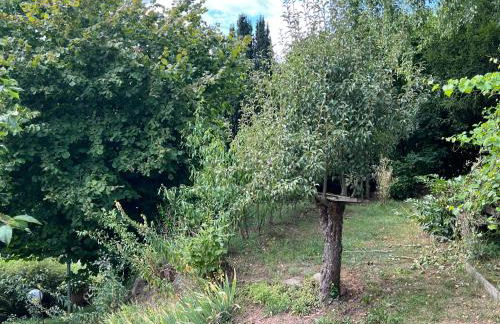 Haus Marta - Photo 48