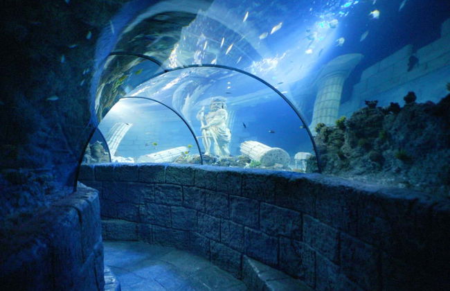 Entrada a SEA LIFE® Oporto - Foto 3