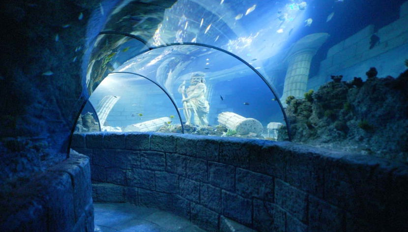 Ingresso do SEA LIFE® Porto - Foto 3