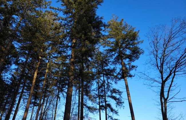 Holiday Home in Holten Near Lake Ijssel - Foto 31