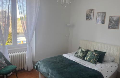 Jardin de Victor Appartements calmes spacieux avec jardin clos - Foto 12