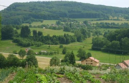 Gîte spacieux et confortable au Val d'Ajol, à proximité de Plombières-les-Bains, animaux de ferme ! - FR-1-589-139 - Foto 8