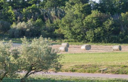 Villa Alcove with breathtaking Sea View and Private Pool - Foto 42