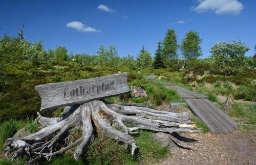 Gemütliche Ferienwohnung am Schwarzwaldrand - Foto 20